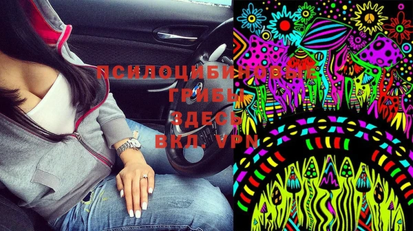 гидра Арсеньев