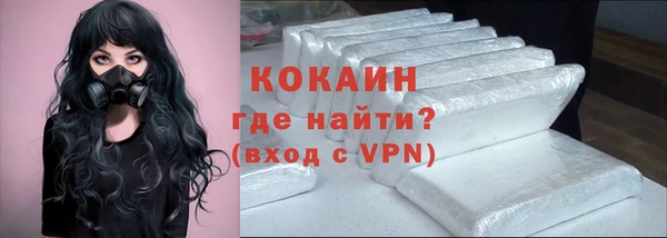 гидра Арсеньев
