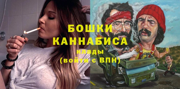 ГАЛЛЮЦИНОГЕННЫЕ ГРИБЫ Аркадак