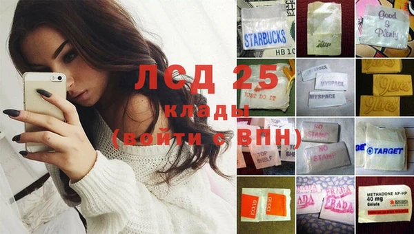 ГАЛЛЮЦИНОГЕННЫЕ ГРИБЫ Аркадак